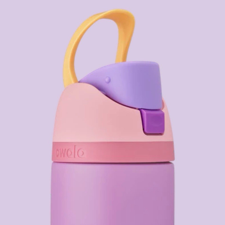 Princess collection 24oz