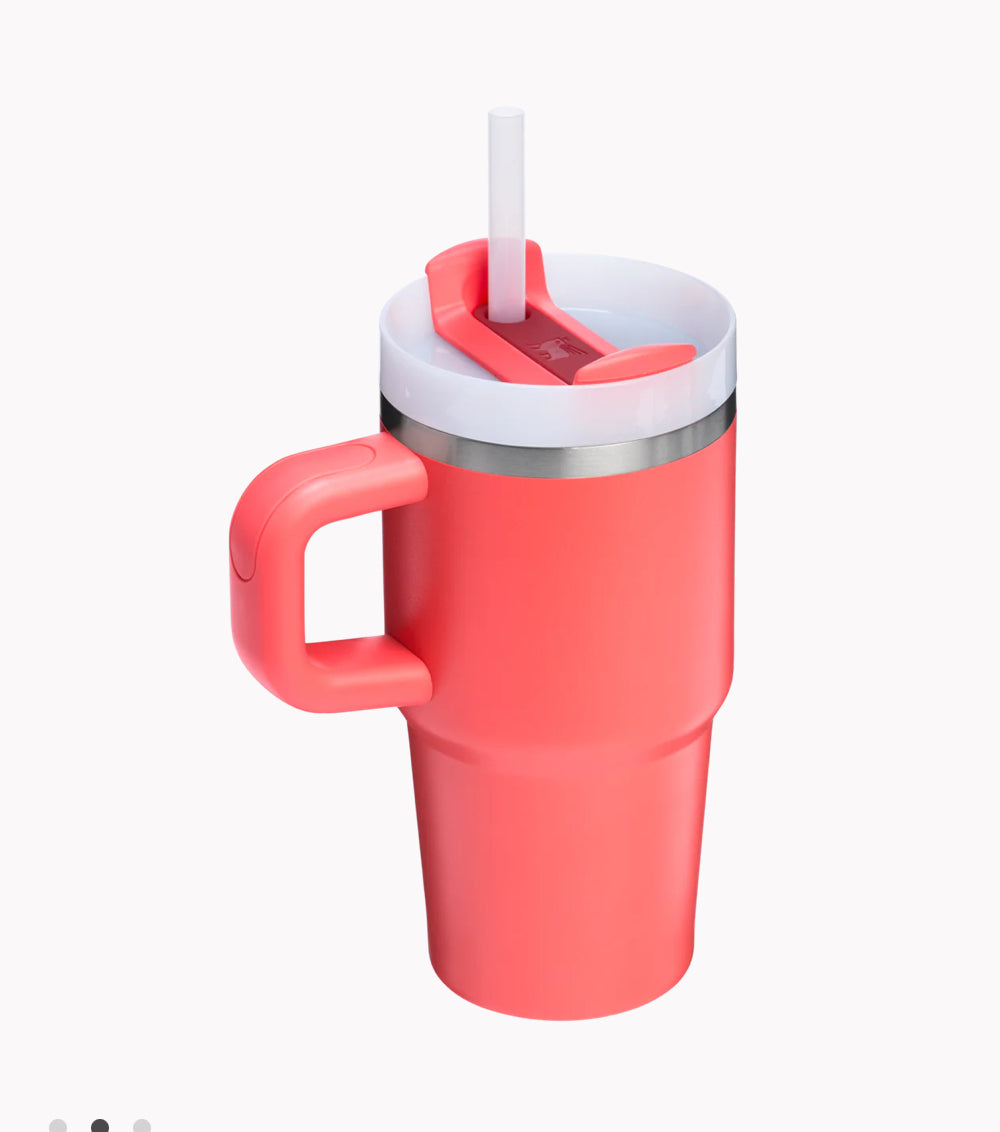 STANLEY - THE QUENCHER H2.O FLOWSTATE™ Tumbler with Handle | 20 OZ