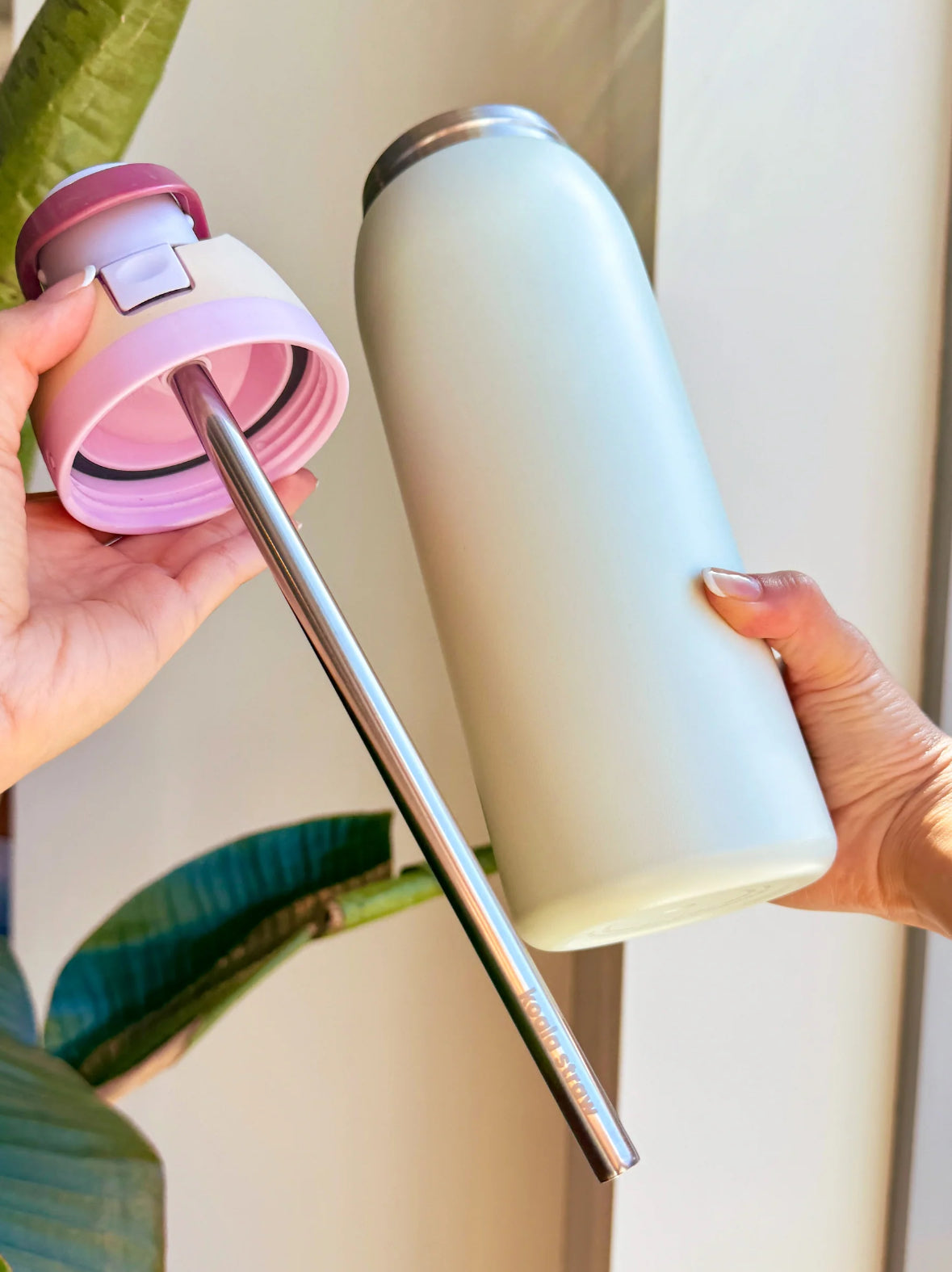 Koala Stainless Steel Straw