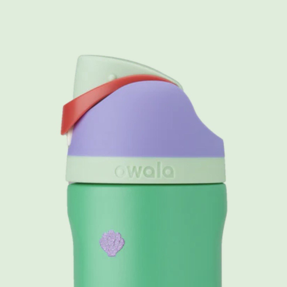 Princess collection 24oz