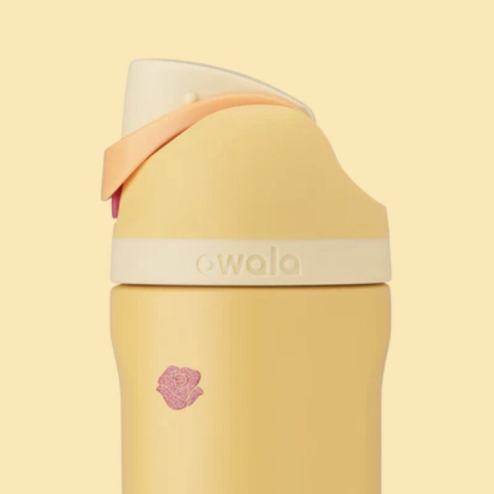 Princess collection 24oz