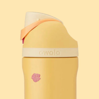 Princess collection 24oz