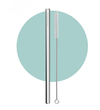 Koala Stainless Steel Straw