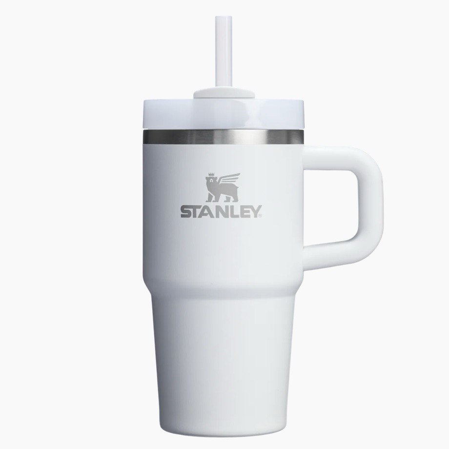 STANLEY - THE QUENCHER H2.O FLOWSTATE™ Tumbler with Handle | 20 OZ
