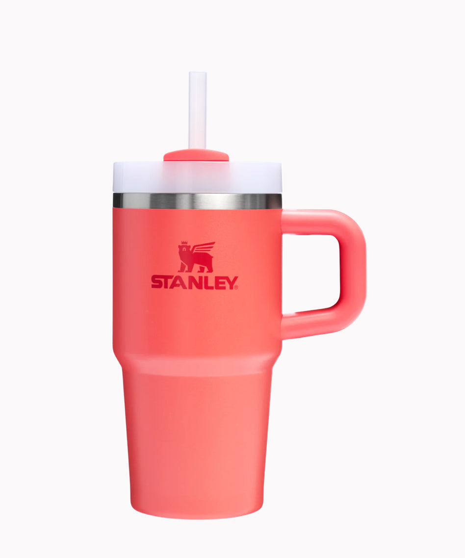 STANLEY - THE QUENCHER H2.O FLOWSTATE™ Tumbler with Handle | 20 OZ