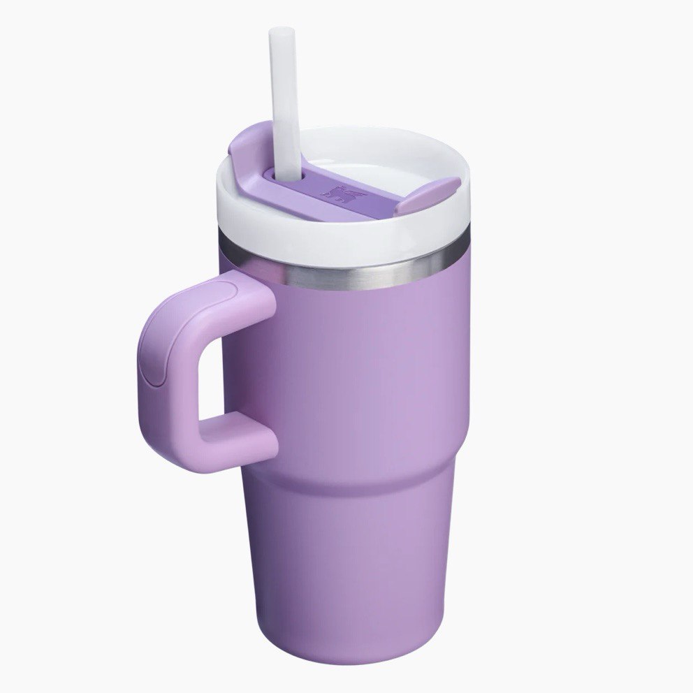 STANLEY - THE QUENCHER H2.O FLOWSTATE™ Tumbler with Handle | 20 OZ
