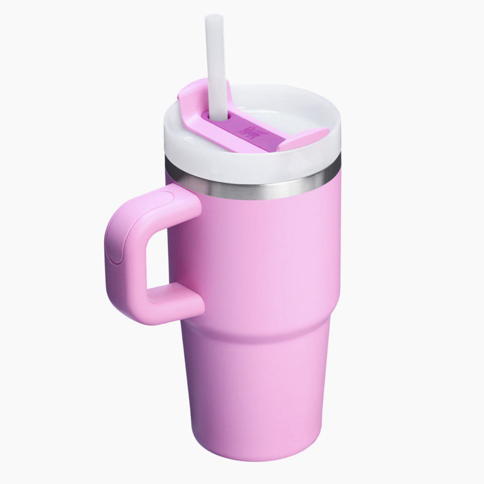 STANLEY - THE QUENCHER H2.O FLOWSTATE™ Tumbler with Handle | 20 OZ