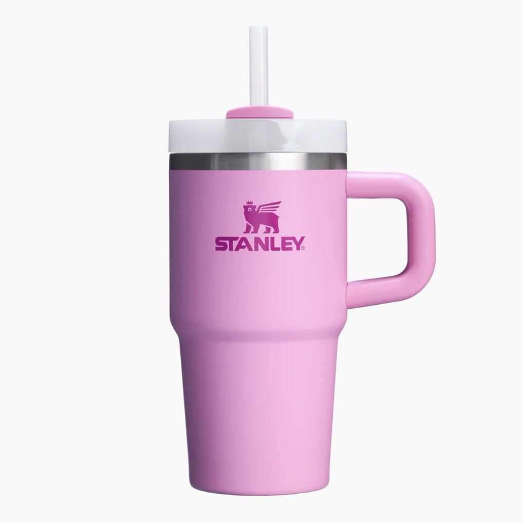 STANLEY - THE QUENCHER H2.O FLOWSTATE™ Tumbler with Handle | 20 OZ