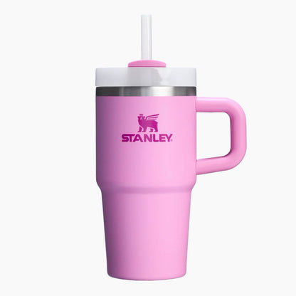STANLEY - THE QUENCHER H2.O FLOWSTATE™ Tumbler with Handle | 20 OZ