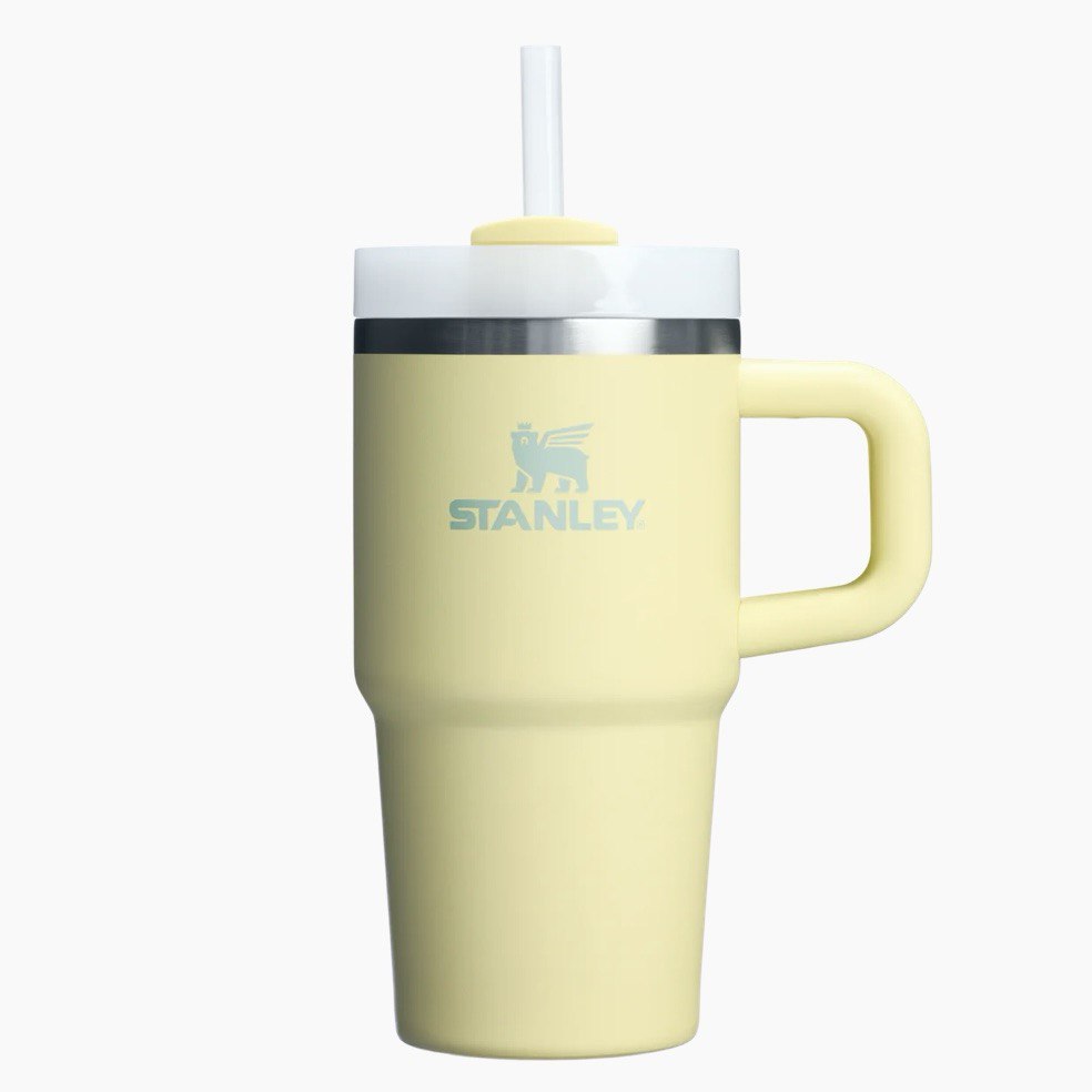 STANLEY - THE QUENCHER H2.O FLOWSTATE™ Tumbler with Handle | 20 OZ